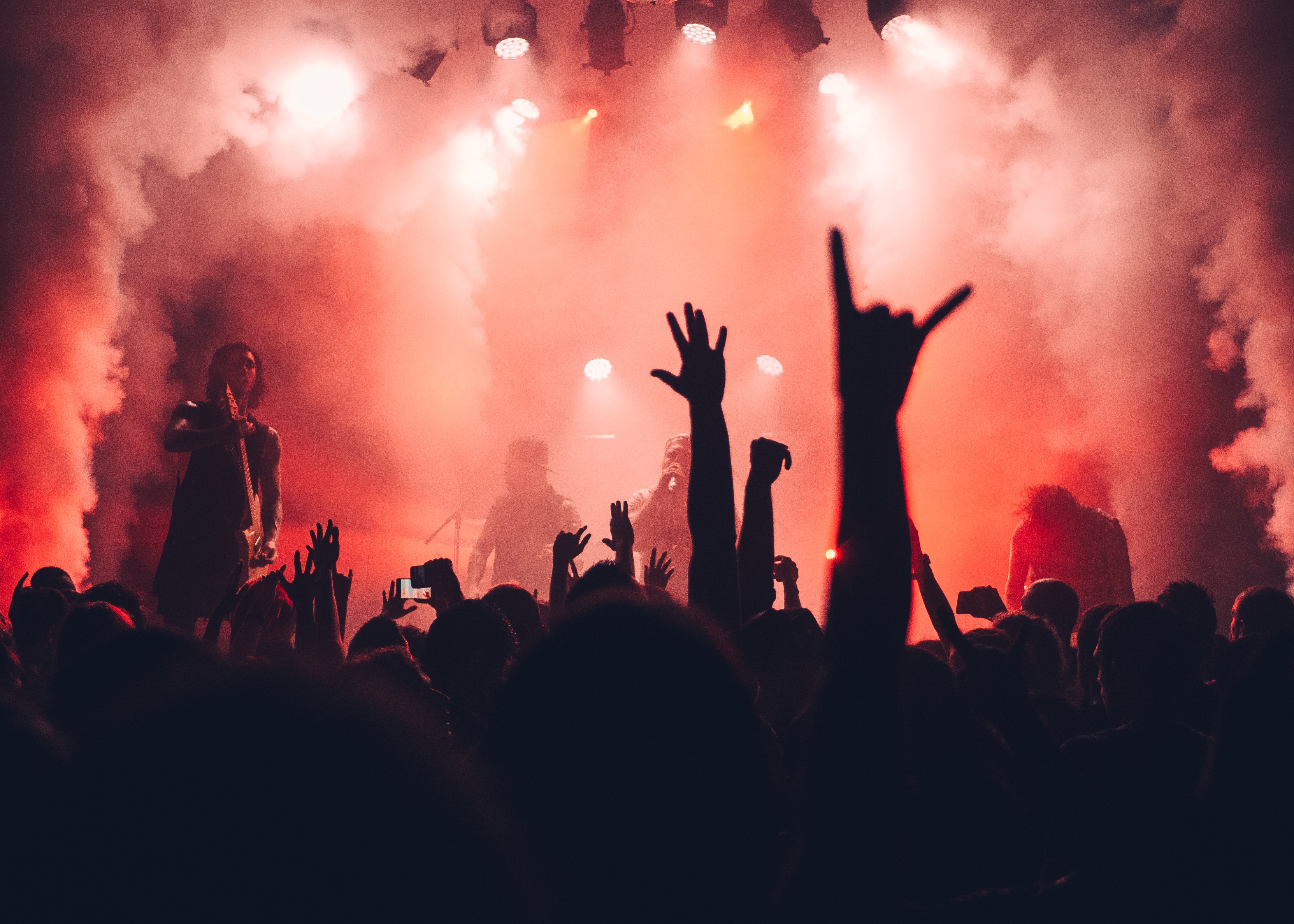 Forsikring På Festival